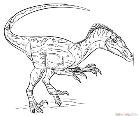 Supercoloring Velociraptor - coloring pages