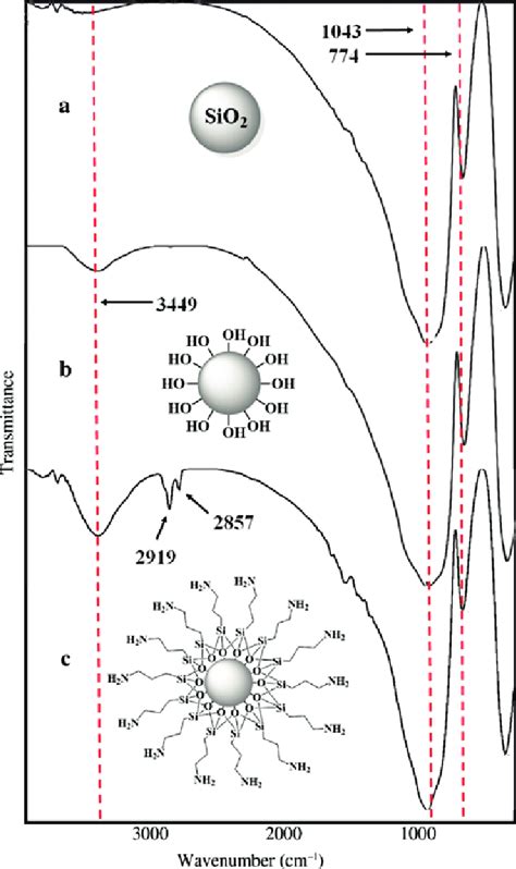 The FTIR of (a) SiO 2 (solid phase), (b) solid phase treated with NaOH ...