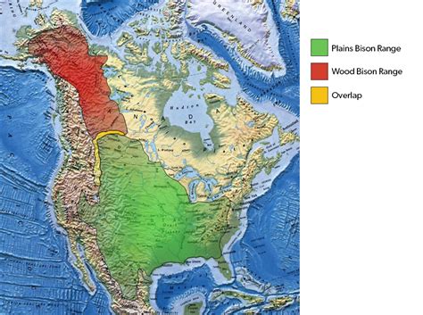 tempérer Duc une baignoire american bison range map Faites un nom fort ...