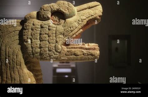 Mayan snake Stock Videos & Footage - HD and 4K Video Clips - Alamy