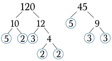 Factor Trees And Prime Factorization