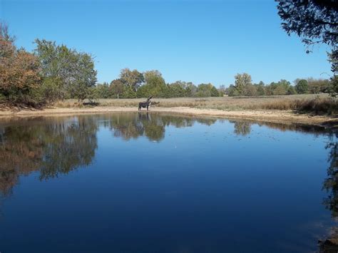 the old fishin' hole. Peaceful Places, Old Things, River, Olds, Outdoor ...