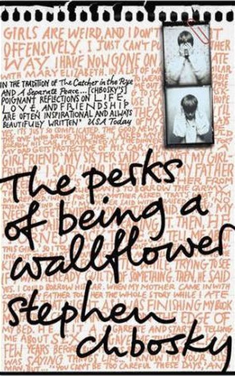 the-perks-of-being-a-wallflower-review - AmReading