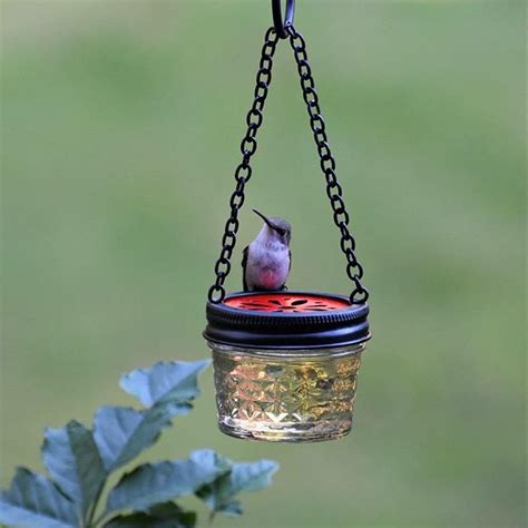 16 DIY Homemade Hummingbird Feeder Ideas to Attract Them to Your Home