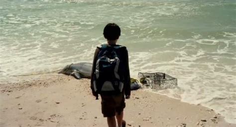 Why Young Animal Lovers Should Watch the “Dolphin Tale” Movies