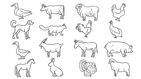 Incredible Compilation of Over 999 Animal Drawings - Stunning ...