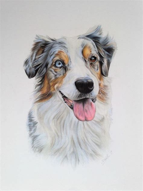 The 15 Most Realistic Australian Shepherd and Border Collie Paintings ...