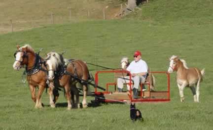 horses_pulling_sled_fs : Bryan Hill Farm