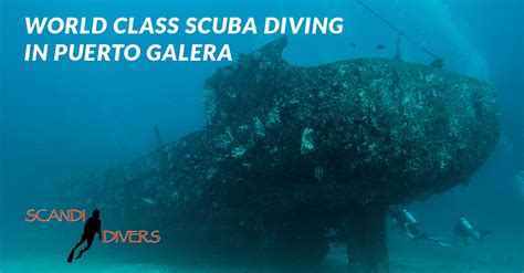 World Class Dive Sites of Puerto Galera | Scandi Divers Resort