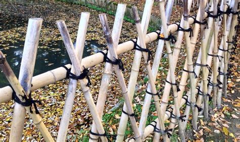 Make Japanese Bamboo Fences & Trellises | Gardener's Supply