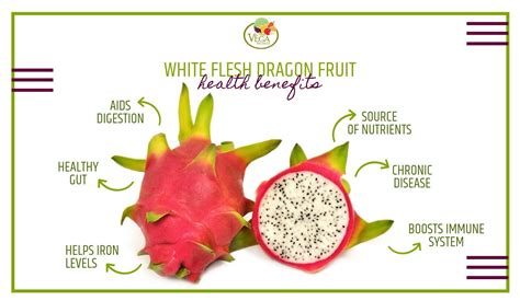 Dragon Fruit Benefits - Vega Produce: Eat Exotic, Be Healthy