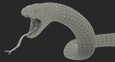 Snakes 3D Models Collection Rigged for Maya 3D Model $199 - .ma - Free3D