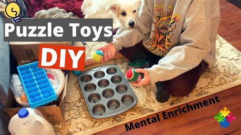 Dog Brain Games Diy, Dog Games, Dog Puzzles Diy, Diy Puzzle Toys For ...