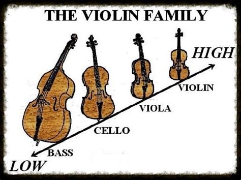 m-VIOLIN FAMILY 1 :: StringQuest