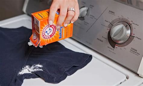 5 Effective Ways To Remove Mold From Clothes