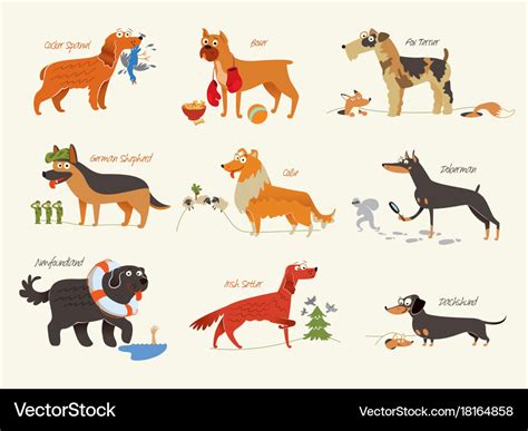 Dog breeds working dogs Royalty Free Vector Image