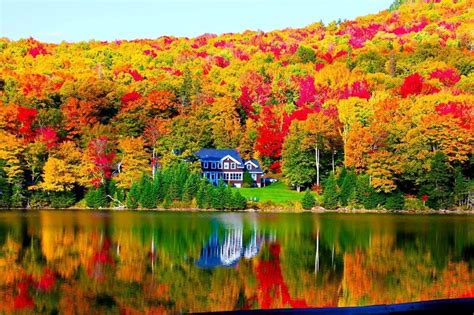 Acadia National Park and the Best of Maine | Maestro Tours