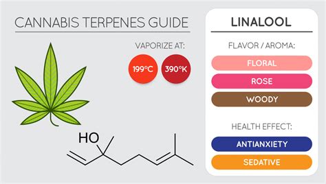 Linalool Medical Terpenes - Medical Terpenes