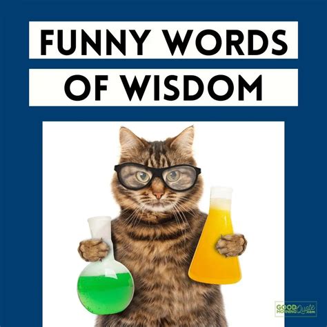 81 Funny Words Of Wisdom That Will Make You Chuckle