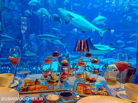 آکواریوم هتل آتلانتیس - اتاق های گمشده زیر آب - The Lost Chambers Aquarium