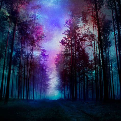 magical forest - night by BaxiaArt on DeviantArt