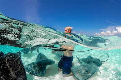 Grand Cayman Stingray City Sunset Excursion | Red Sail Sports