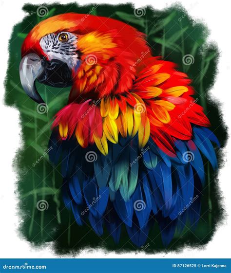 Parrot watercolor painting stock illustration. Illustration of head ...