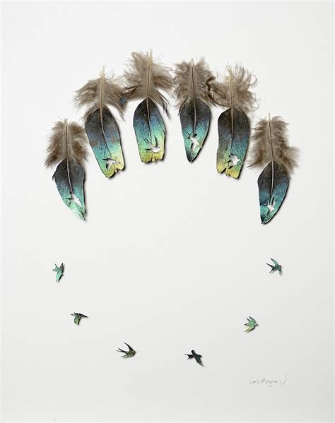 Feathers, Form and Function: New Cut Feather Artwork by Chris Maynard ...