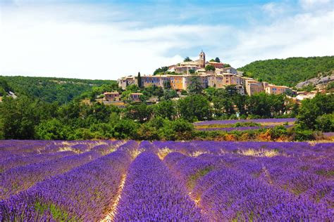 Visiting The Provence Lavender Fields In France | Rough Guides