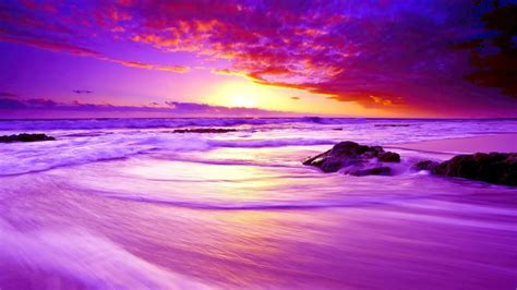 Purple beach sunset - backiee