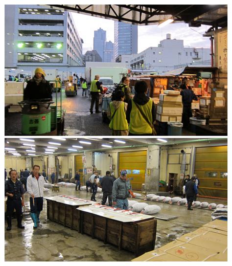 Erik Petri Illustration: Tsukiji fish market in Tokyo