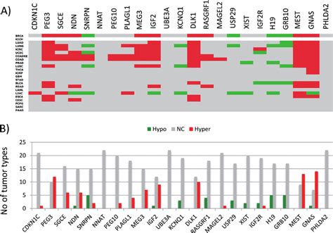 DNA methylation level changes of imprinted genes in human cancers. ( A ...