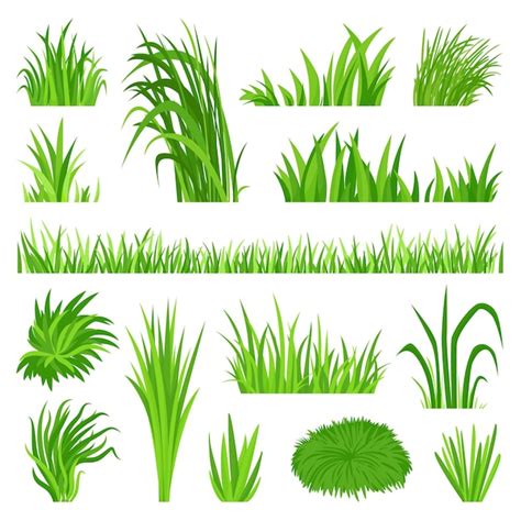 Grass Vector