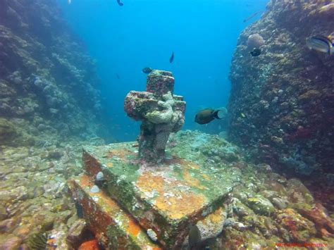 Five diving sites in Batangas you can visit now – Great Travel Philippines