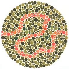 Ishihara’s Test for Colour Deficiency: 38 Plates Edition – Colblindor