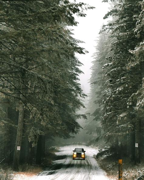 Single car on snowy road in woods · Free Stock Photo