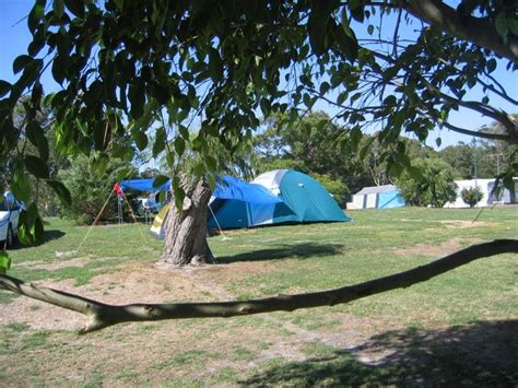 Fingal Bay Holiday Park - Fingal Bay Area for tents and camping