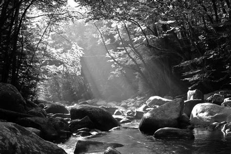 Great Smoky Mountains river scene in black and white | Black and white ...