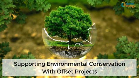 Support Environmental Conservation With Offset Projects | NativeEnergy