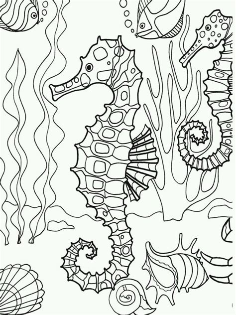 Baú da Web: Desenhos Fundo do Mar para colorir