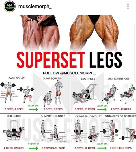 Leg Workout Equipment Names for Burn Fat fast | Fitness and Workout ABS ...