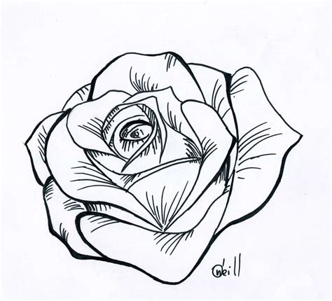 Pencil Rose Drawing For Kids / How to draw easy and simple scenery for ...