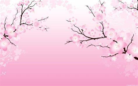 Chinese Cherry Blossom Wallpapers - Top Free Chinese Cherry Blossom ...