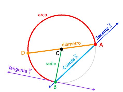 Elemtos Notables De La Circunferencia Elementos Notables Y Rectas En ...