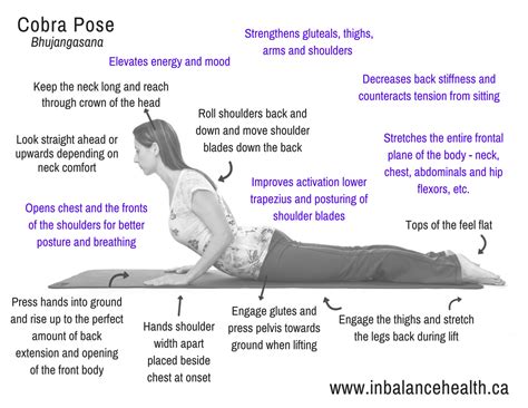 Cobra Pose (Bhujangasana) - In Balance Health