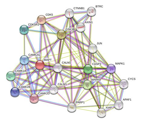 Tau Protein Overview | Sino Biological