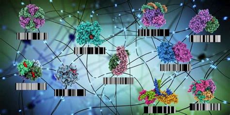 Detecting functional changes at the proteome level