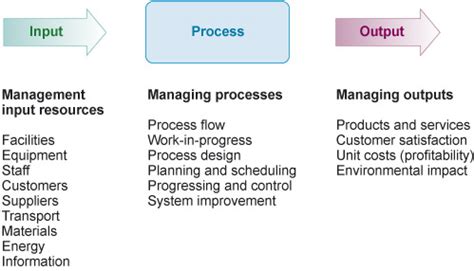 input and output of management information system