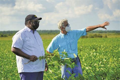 Agriculture Month: Guyana’s diversified agriculture sector aims at ...