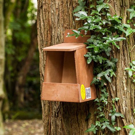 Robin Nest Box | The Nestbox Company